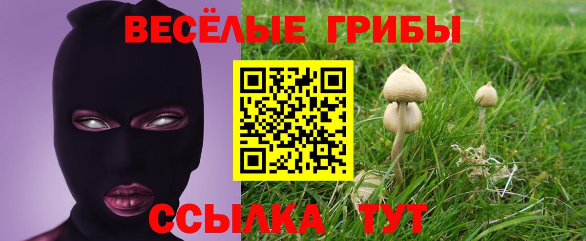 Псилоцибиновые грибы MAGIC MUSHROOMS Ставрополь